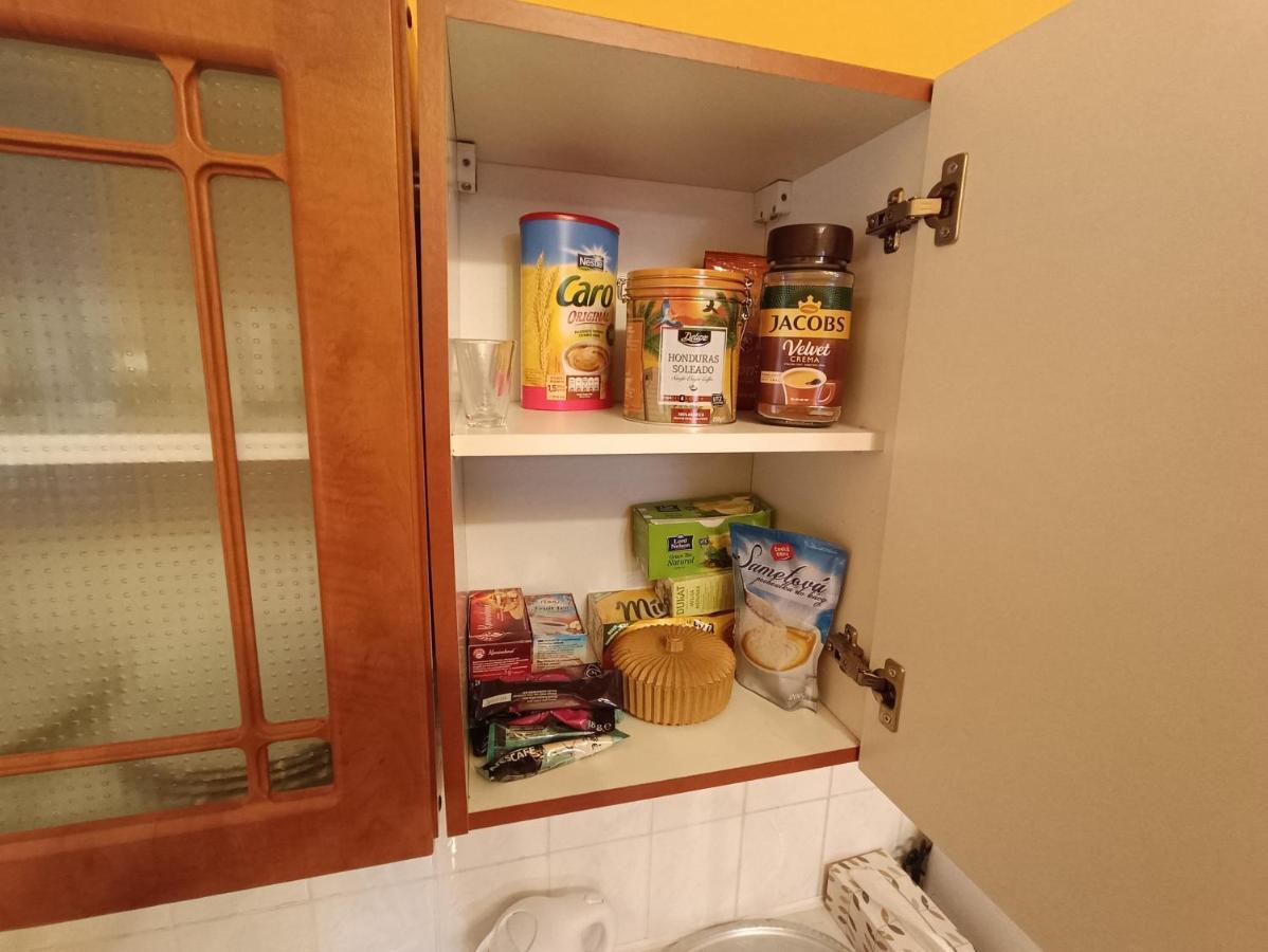 Apartman Horni Slavkov Hodinarstvi Buitenkant foto